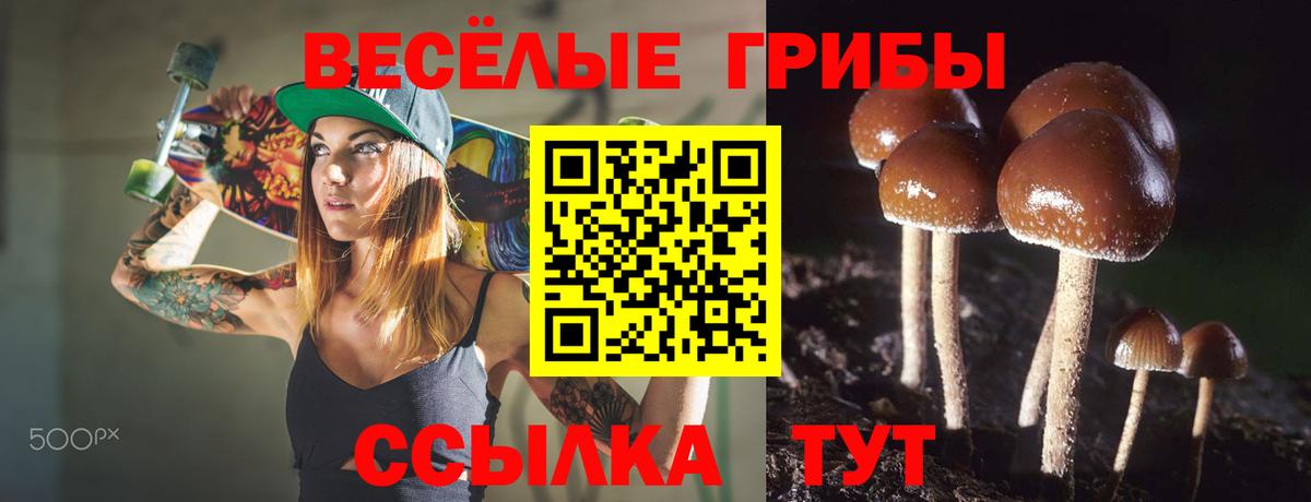 как найти наркотики  Вход с VPN  Псилоцибиновые грибы ЛСД  Кимовск  Псилоцибиновые грибы мицелий 